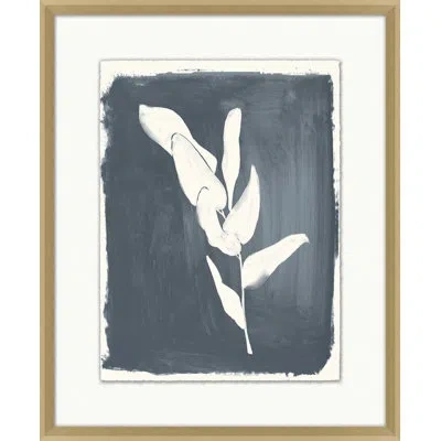 Wendover Art Group Floral Relief 4 - Single Picture Frame Print In Gray,white