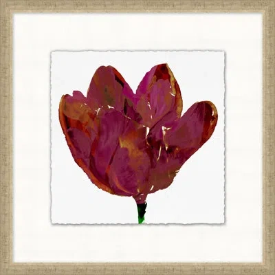 Wendover Art Group Floral Studies 6 - Picture Frame Painting In Red