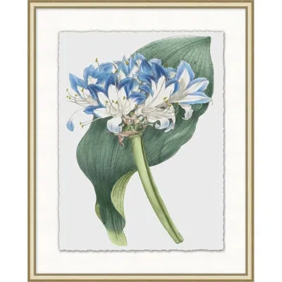 Wendover Art Group Floral Study 11 - Picture Frame Painting In Blue;white;green