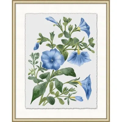 Wendover Art Group Floral Study 2 - Picture Frame Painting In Multi