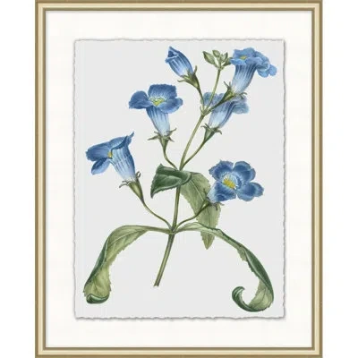 Wendover Art Group Floral Study 9 - Picture Frame Painting In Blue;green