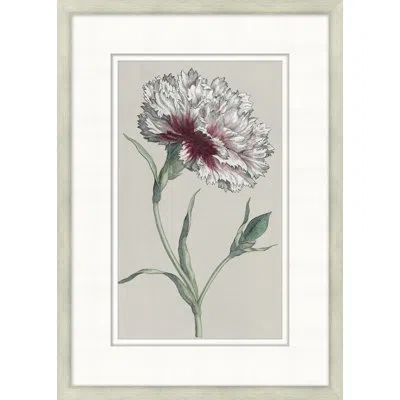 Wendover Art Group Flourishing Symmetry 1 - Picture Frame Painting On Paper In White;green;purple