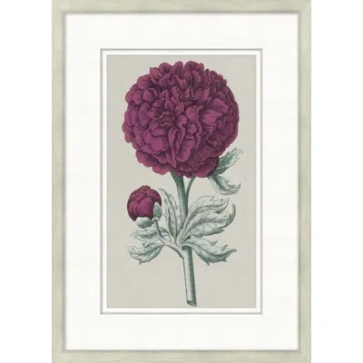 Wendover Art Group Flourishing Symmetry 10 - Picture Frame Painting On Paper In Green;purple;light Gray