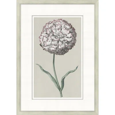 Wendover Art Group Flourishing Symmetry 11 - Picture Frame Painting On Paper In Green;ivory;light Gray