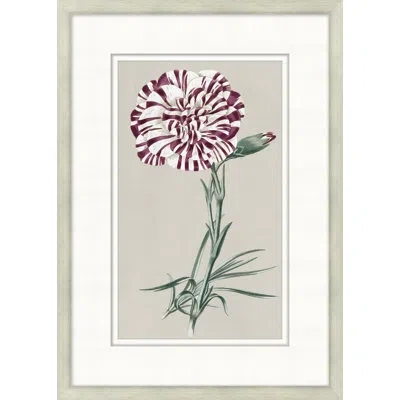 Wendover Art Group Flourishing Symmetry 12 - Picture Frame Painting On Paper In White;green;purple