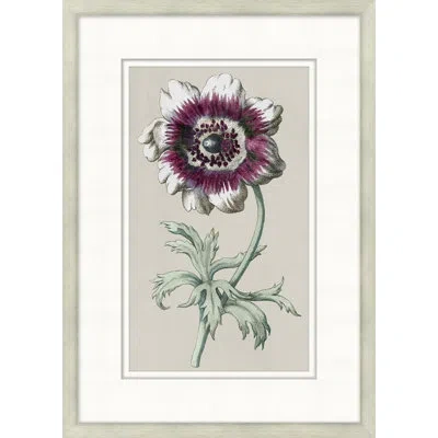 Wendover Art Group Flourishing Symmetry 3 - Picture Frame Painting On Paper In White;green;purple