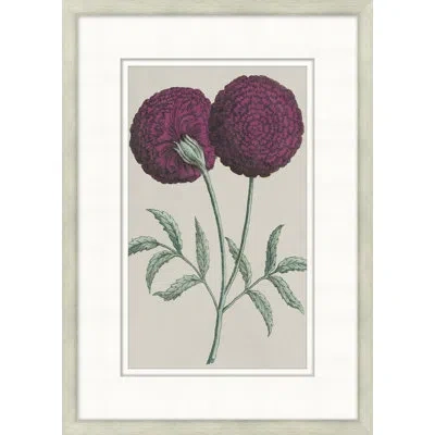 Wendover Art Group Flourishing Symmetry 6 - Picture Frame Painting On Paper In Green;purple;light Gray