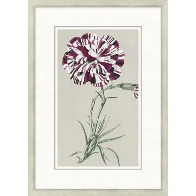 Wendover Art Group Flourishing Symmetry 8 - Picture Frame Painting On Paper In White;green;purple
