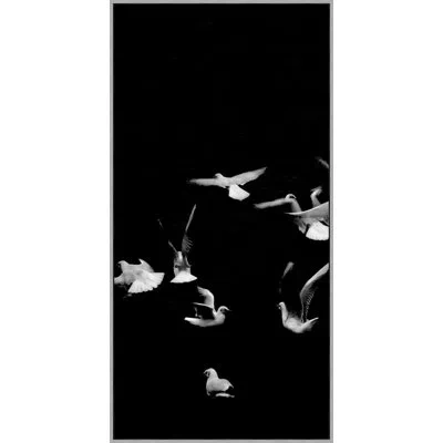 Wendover Art Group Fly Together 1 By Thom Filicia - Floater Frame Photograph On Canvas In Black;white
