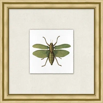 Wendover Art Group Flying Specimen 2 In White,green,black