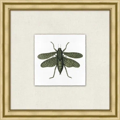 Wendover Art Group Flying Specimen 3 In White,green,black