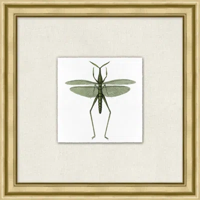 Wendover Art Group Flying Specimen 4 In White,green,black