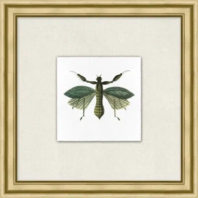 Wendover Art Group Flying Specimen 6 In White,green,black