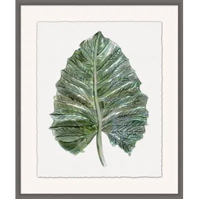 Wendover Art Group Foliage Study 3 - Picture Frame Painting On Paper In Green