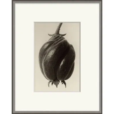 Wendover Art Group Forms Of Nature 10 - Picture Frame Painting On Paper In Black;beige
