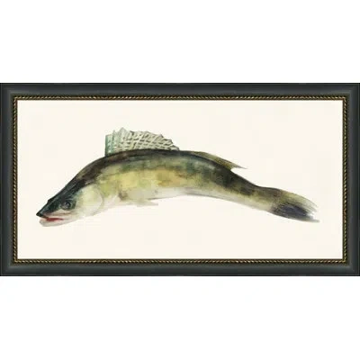 Wendover Art Group Fresh Catch 3 - Picture Frame Painting In Black;gray;yellow