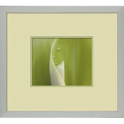 Wendover Art Group Fresh Cut 1 - Picture Frame Photograph On Paper In Green;beige