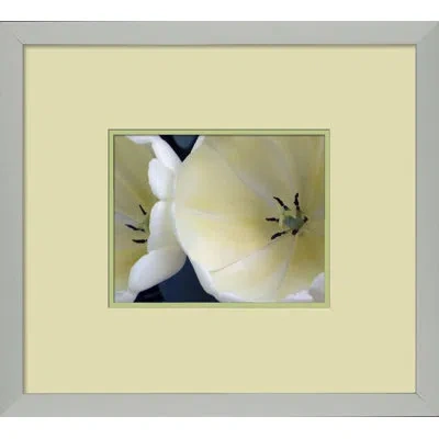 Wendover Art Group Fresh Cut 3 - Picture Frame Photograph On Paper In White;beige