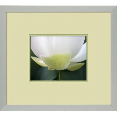 Wendover Art Group Fresh Cut 6 - Picture Frame Photograph On Paper In White;green