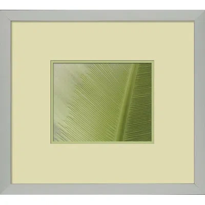 Wendover Art Group Fresh Cut 7 - Picture Frame Photograph On Paper In Green;beige