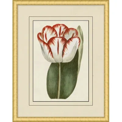 Wendover Art Group Fresh Flowers 10 - Picture Frame Painting On Paper In Multi
