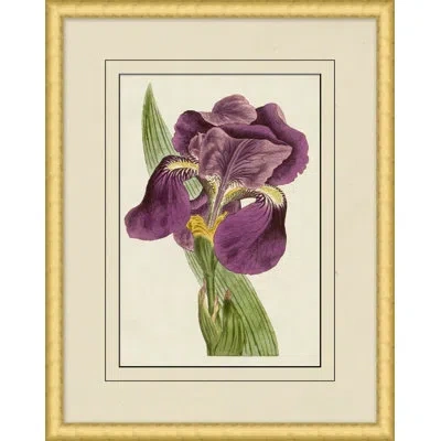 Wendover Art Group Fresh Flowers 11 - Picture Frame Painting On Paper In Green;beige;purple