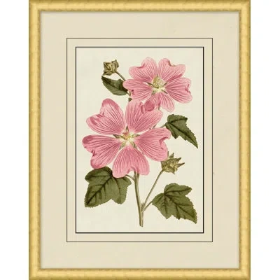 Wendover Art Group Fresh Flowers 6 - Picture Frame Painting In Multi