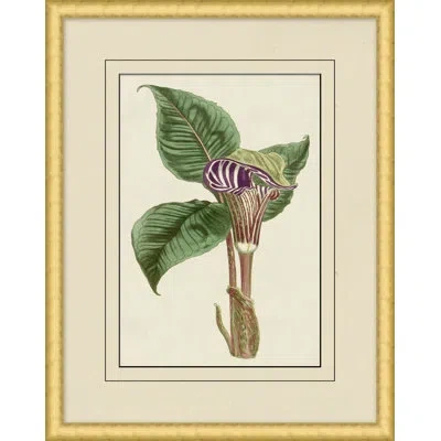 Wendover Art Group Fresh Flowers 7 - Picture Frame Painting In Brown;green;ivory