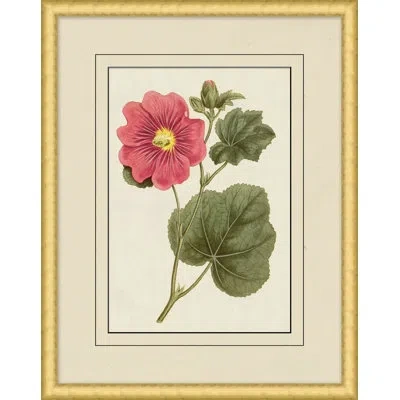 Wendover Art Group Fresh Flowers 8 - Picture Frame Painting In Brown