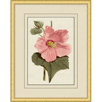 Wendover Art Group Fresh Flowers 9 - Picture Frame Painting In Multi