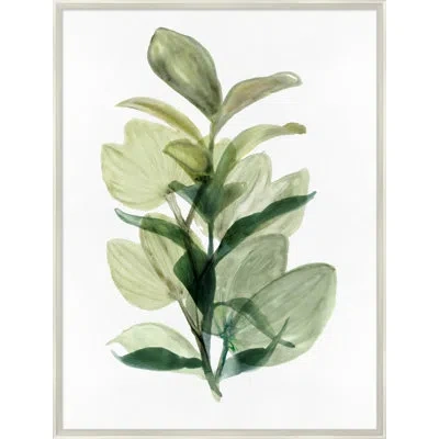 Wendover Art Group Fresh Market 1 - Picture Frame Painting On Paper In White;green