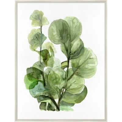 Wendover Art Group Fresh Market 4 - Picture Frame Painting On Paper In White;green