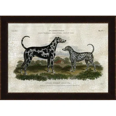 Wendover Art Group G. Danish And Dalmation - Picture Frame Graphic Art On Paper In Black;white;green