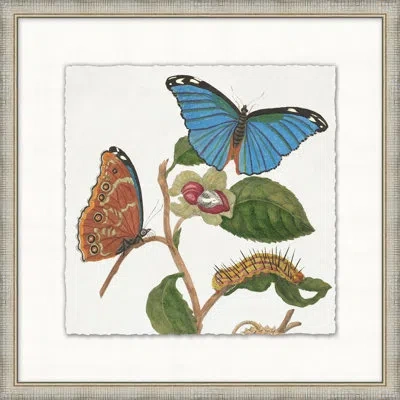 Wendover Art Group Garden Butterflies 1 - Picture Frame Painting In Multi