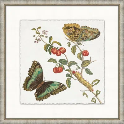 Wendover Art Group Garden Butterflies 2 - Picture Frame Painting In Multi