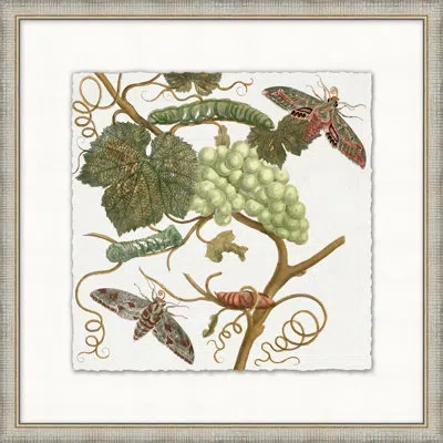 Wendover Art Group Garden Butterflies 3 - Picture Frame Painting In Multi
