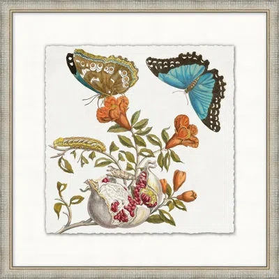 Wendover Art Group Garden Butterflies 4 - Picture Frame Painting In Blue;red;orange