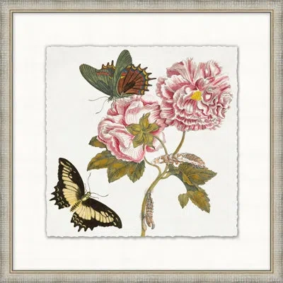 Wendover Art Group Garden Butterflies 5 - Picture Frame Painting In Green;yellow;pink