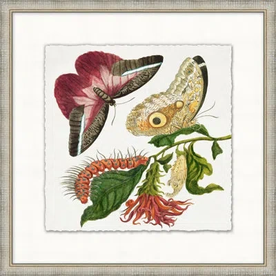 Wendover Art Group Garden Butterflies 6 - Picture Frame Painting In Green;red;beige