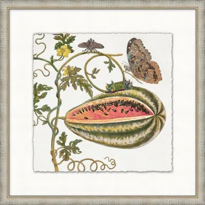 Wendover Art Group Garden Butterflies 7 - Picture Frame Painting In Brown;green;red