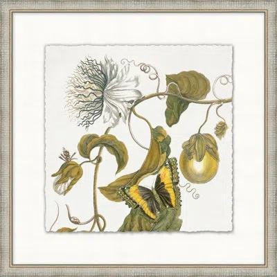 Wendover Art Group Garden Butterflies 8 - Picture Frame Painting In Multi