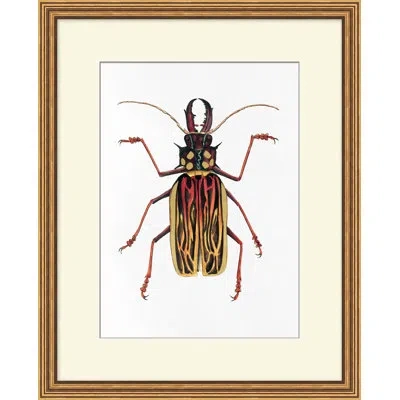Wendover Art Group Gilded Beetle 2 In Red,black,brown