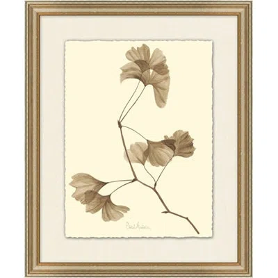 Wendover Art Group Ginkgo - Picture Frame Graphic Art On Paper In Brown;beige