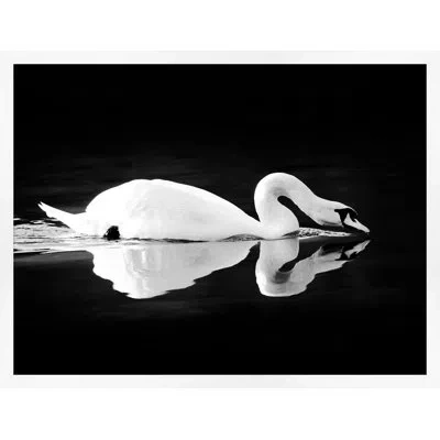 Wendover Art Group Gliding Swan In Black