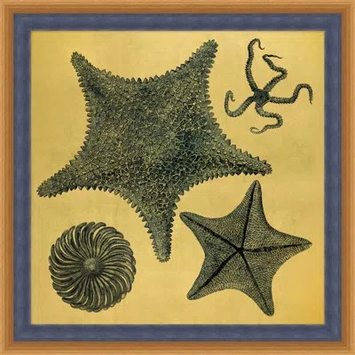 Wendover Art Group Gold Leaf Starfish 2 - Picture Frame Graphic Art In Black;gray;yellow