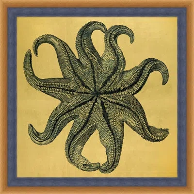 Wendover Art Group Gold Leaf Starfish 3 Framed Graphic Art On Metal In Black;brown;gray