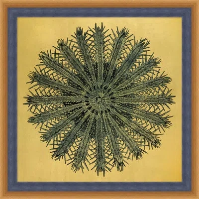 Wendover Art Group Gold Leaf Starfish 6 Framed Graphic Art On Metal In Black;brown;gray