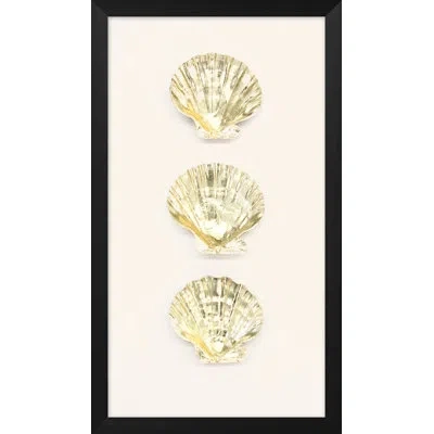 Wendover Art Group Gold Leafed Trio Large Scalloped Shell - Shadowbox Painting On Paper