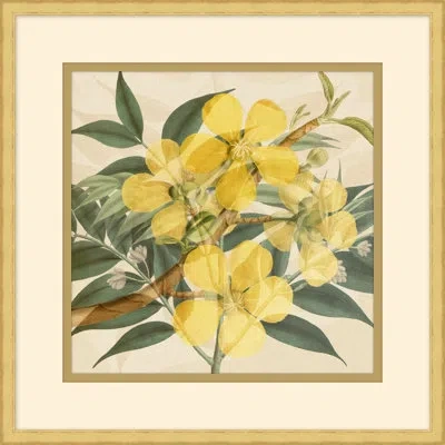 Wendover Art Group Golden Briar 1 - Picture Frame Painting In Green;beige;yellow