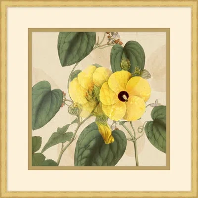 Wendover Art Group Golden Briar 2 - Picture Frame Painting In Green;beige;yellow